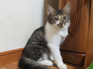 DSCF9740.JPG