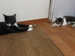 DSCF9750.JPG
