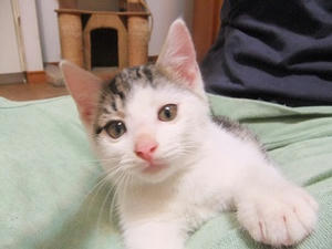 DSCF9794.JPG