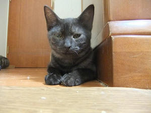 DSCF9657.JPG