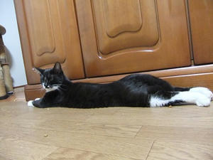 DSCF9660.JPG
