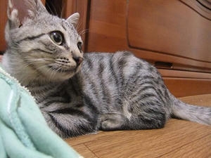 DSCF9564.JPG
