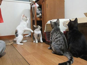 DSCF9639.JPG