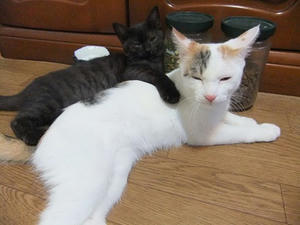 DSCF9705.JPG