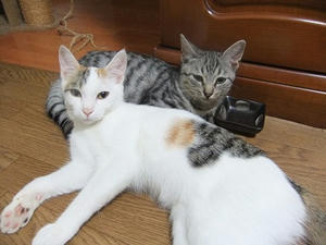 DSCF9628.JPG