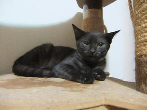 DSCF9543.JPG