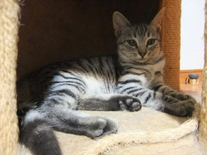 DSCF9562.JPG