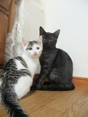 DSCF9859.JPG