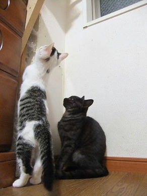 DSCF9855.JPG