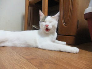 DSCF9698.JPG