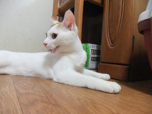 DSCF9697.JPG