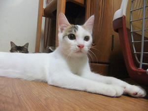 DSCF9695.JPG