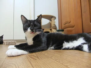 DSCF9732.JPG
