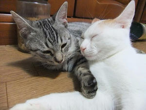DSCF9808.JPG