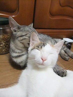 DSCF9805.JPG