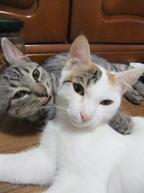 DSCF9804.JPG