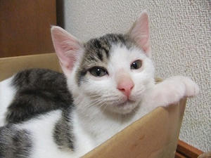 DSCF9841.JPG