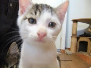 DSCF9812.JPG