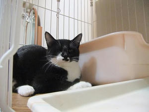 DSCF9851.JPG