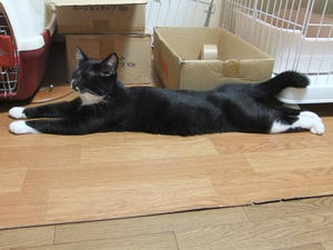 DSCF9737.JPG