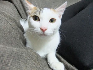 DSCF0091.JPG