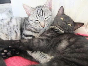 DSCF9944.JPG