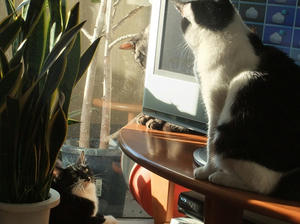 DSCF9913.JPG