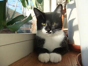DSCF9923.JPG
