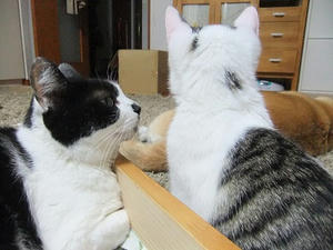 DSCF0094.JPG