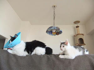 DSCF9889.JPG
