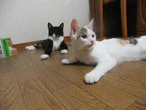 DSCF9646.JPG