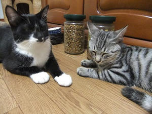 DSCF9830.JPG