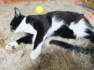 DSCF0077.JPG