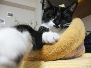 DSCF0038.JPG