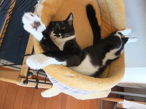 DSCF0135.JPG