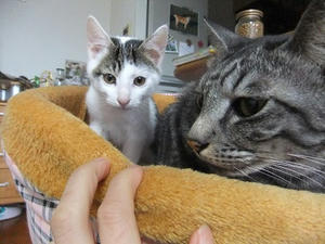 DSCF9968.JPG