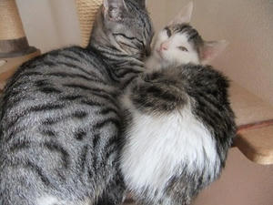 DSCF9970.JPG