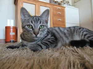 DSCF9960.JPG
