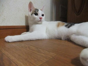 DSCF9699.JPG