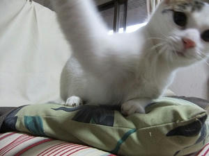 DSCF9908.JPG