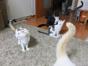 DSCF0168.JPG