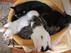 DSCF0193.JPG