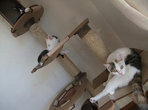 DSCF9939.JPG