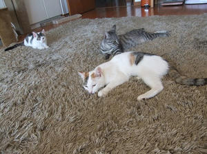 DSCF9957.JPG