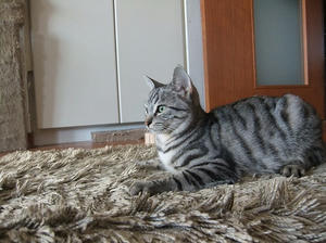 DSCF9955.JPG