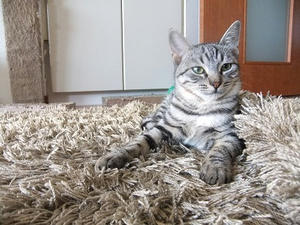DSCF9926.JPG