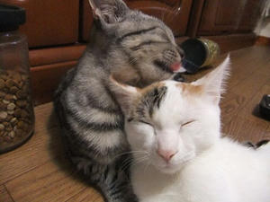 DSCF9809.JPG
