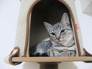 DSCF9894.JPG