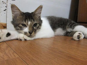 DSCF9753.JPG