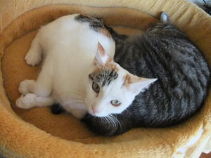 DSCF9963.JPG
